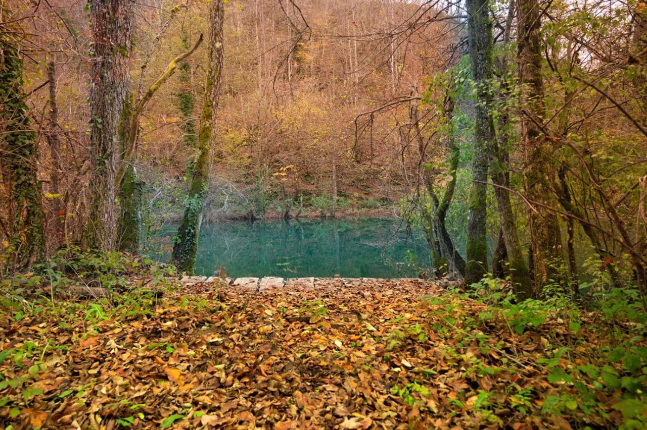 Villa Ecotourism Mreznica Esterno foto
